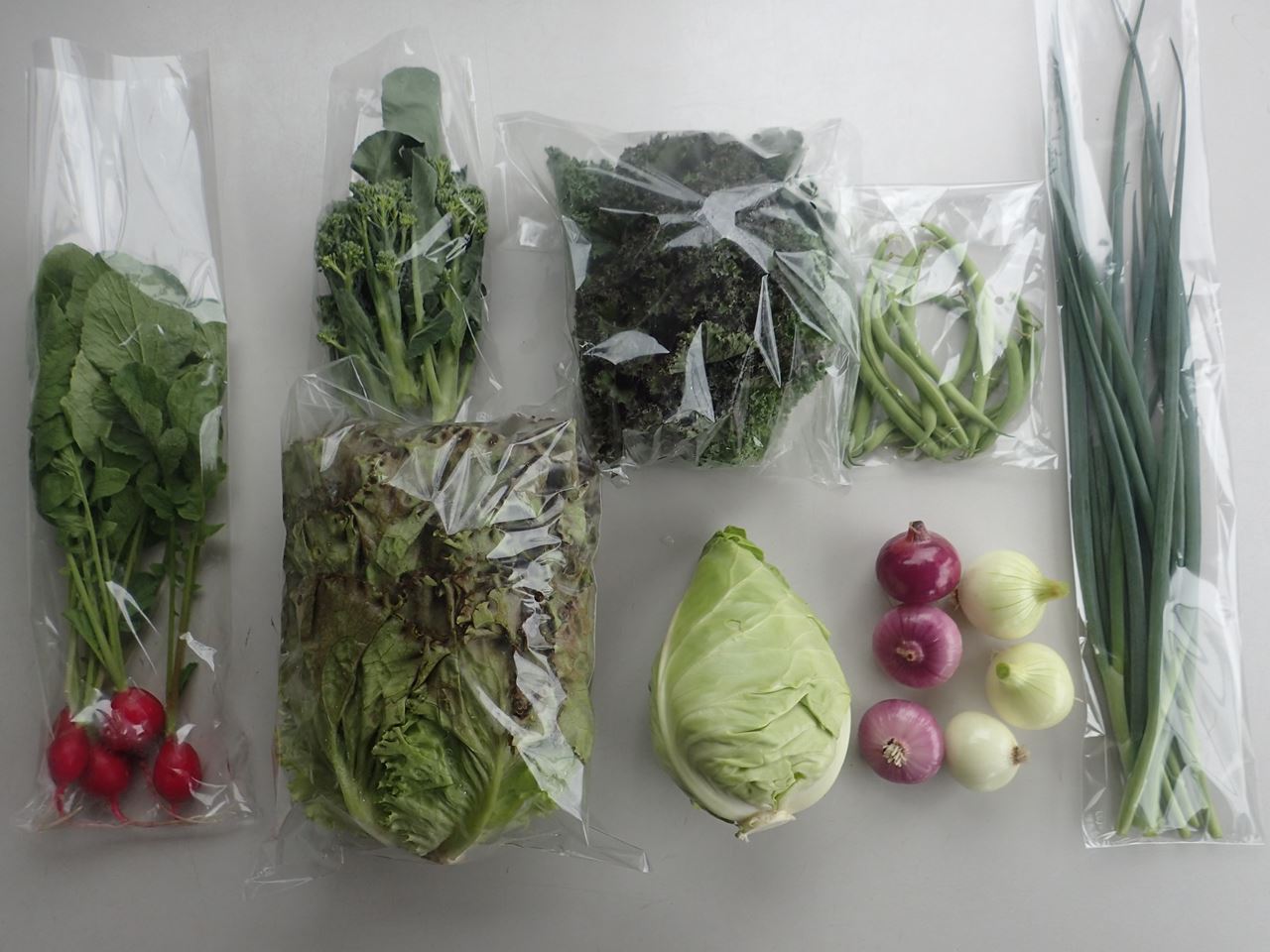 野菜セットA（キャベツ5玉・ピーマン約2.5kg・にんじん約5kg） 3種